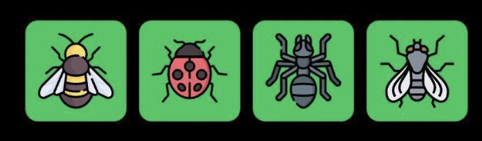 FLIES Daily Combo 15 July 2025